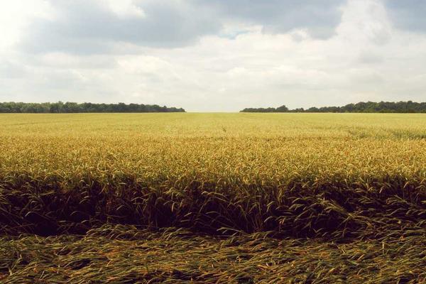 Google Workspace Promo Code: Up to 14% Off in October 2025